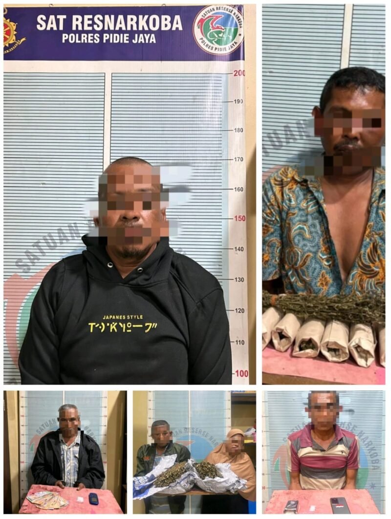 Enam pelaku jaringan Narkotika diamankan Satresnarkoba Polres Pidie Jaya. Foto/dok