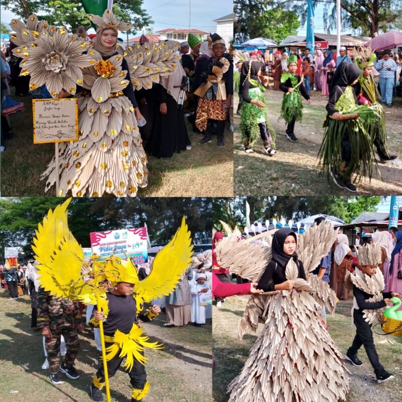 Berbagai macam busana peserta karnaval untuk memeriahkan HUT Pidie Jaya ke 18, tahun 2025, Sabtu (14/6/2025). Foto:dok/Muhammad Rissan 