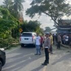 Truk kontainer tertimpa pohon di bandar Baru, Satlantas Polres Pidie Jaya bersama masyarakat urai kemacetan. Foto:Dok/Humas Polres Pidie Jaya 