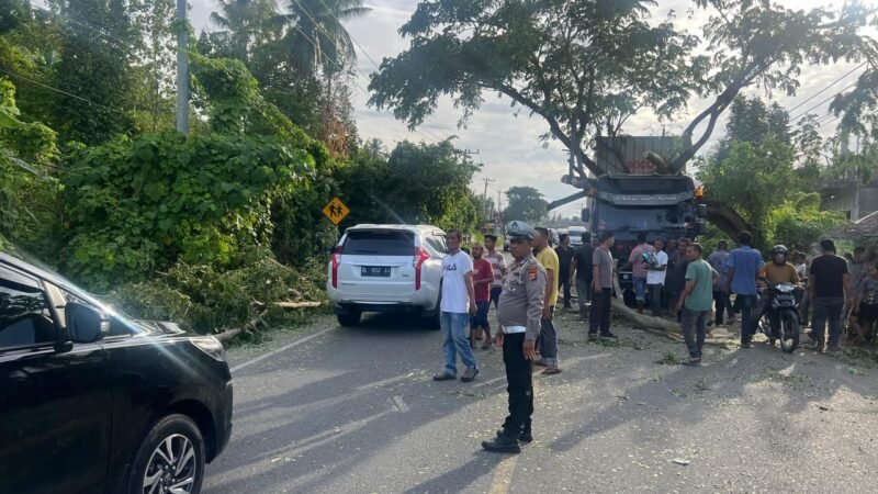 Truk kontainer tertimpa pohon di bandar Baru, Satlantas Polres Pidie Jaya bersama masyarakat urai kemacetan. Foto:Dok/Humas Polres Pidie Jaya 
