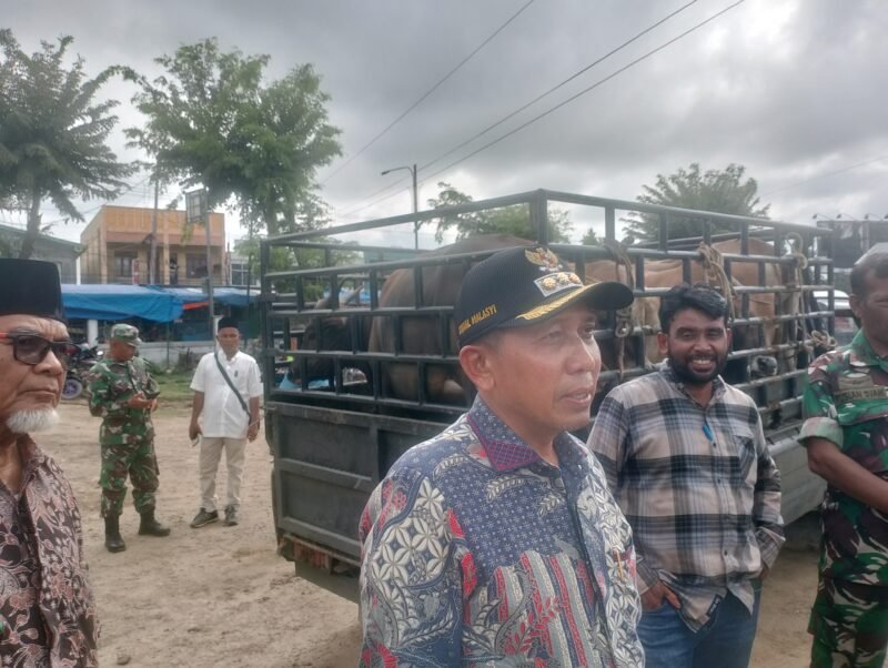 Bupati Pidie Jaya Tgk. H. Syibral Malasyi. MA. Secara simbolis menyerahkan sapi meungang bantuan Presiden Prabowo kepada Masyarakat terdampak bencan. Meureudu, Senin (16/2/2026).Foto:Dok/Muhamad Rissan 